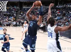 关于森林狼内线协防出色的信息