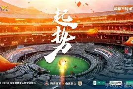 山东泰山击败浙江队，中超前四竞争进入关键阶段的简单介绍