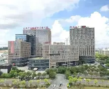 包含年轻阵容持续成长，整体实力稳步增强的词条