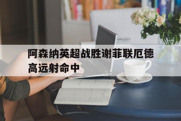 关于阿森纳英超战胜谢菲联厄德高远射命中的信息