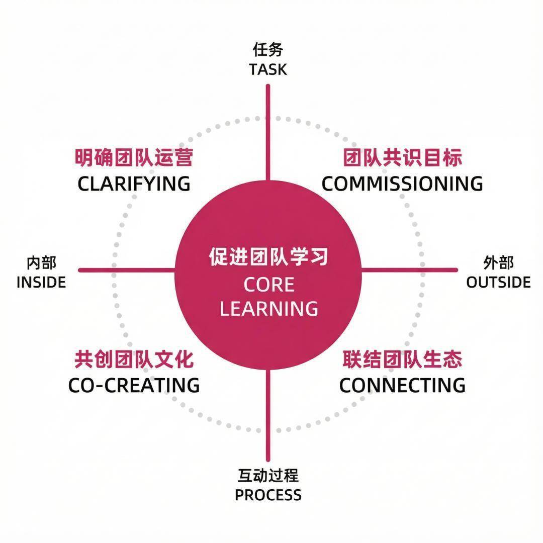 团队配合日趋成熟，整体效率走高